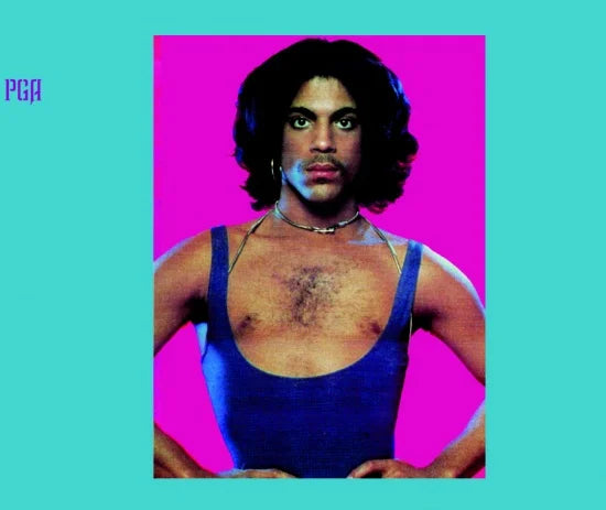 PRINCE / PRINCE(ALBUM1979) : COLLECTOR'S EDITION (2CD) – Acme Hot Disc PRINCE / PRINCE(ALBUM1979) : COLLECTOR'S EDITION (2CD) – Acme Hot Disc
