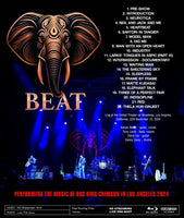 BEAT - PERFORMING THE MUSIC OF 80'S KING CRIMSON IN LOS ANGELES 2024 (1BDR)