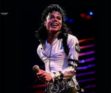 MICHAEL JACKSON - THE ULTIMATE GEMS : THE BEST OF MULTITRACK MASTERS 2CD
