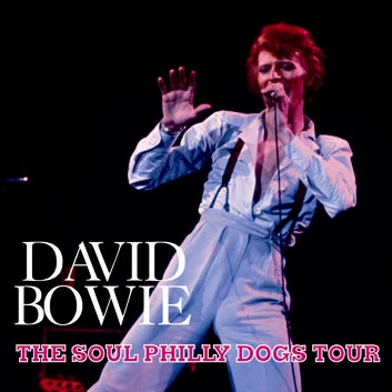 DAVID BOWIE - THE SOUL HILLY DOGS TOUR (1CDR)